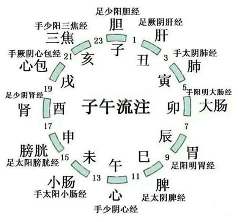 地支歌|倪海厦人纪针灸—十二经纳天干地支